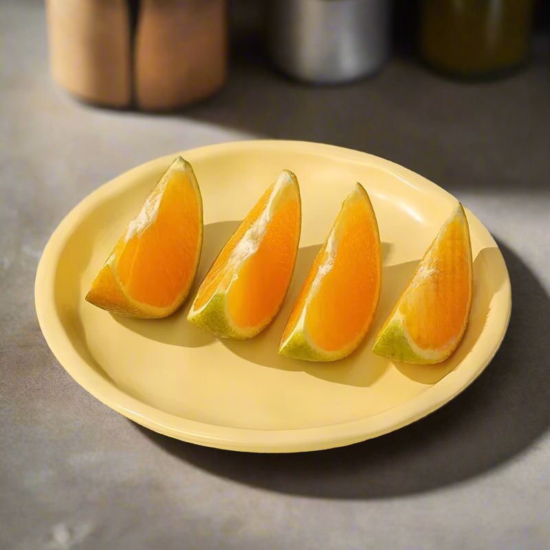 Best Dessert Plates